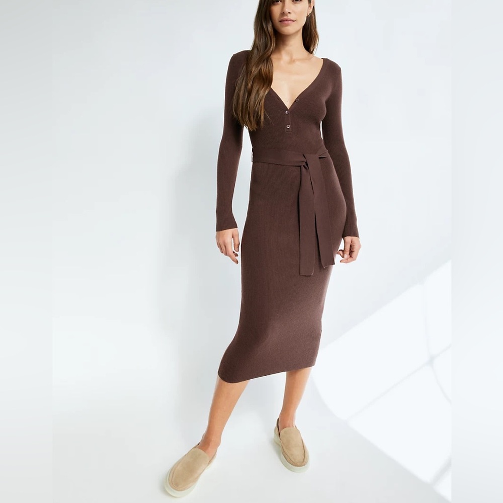 Aritzia Babaron Henley Sweater Dress